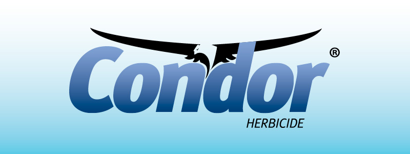 CONDOR- Sipcam Australia 